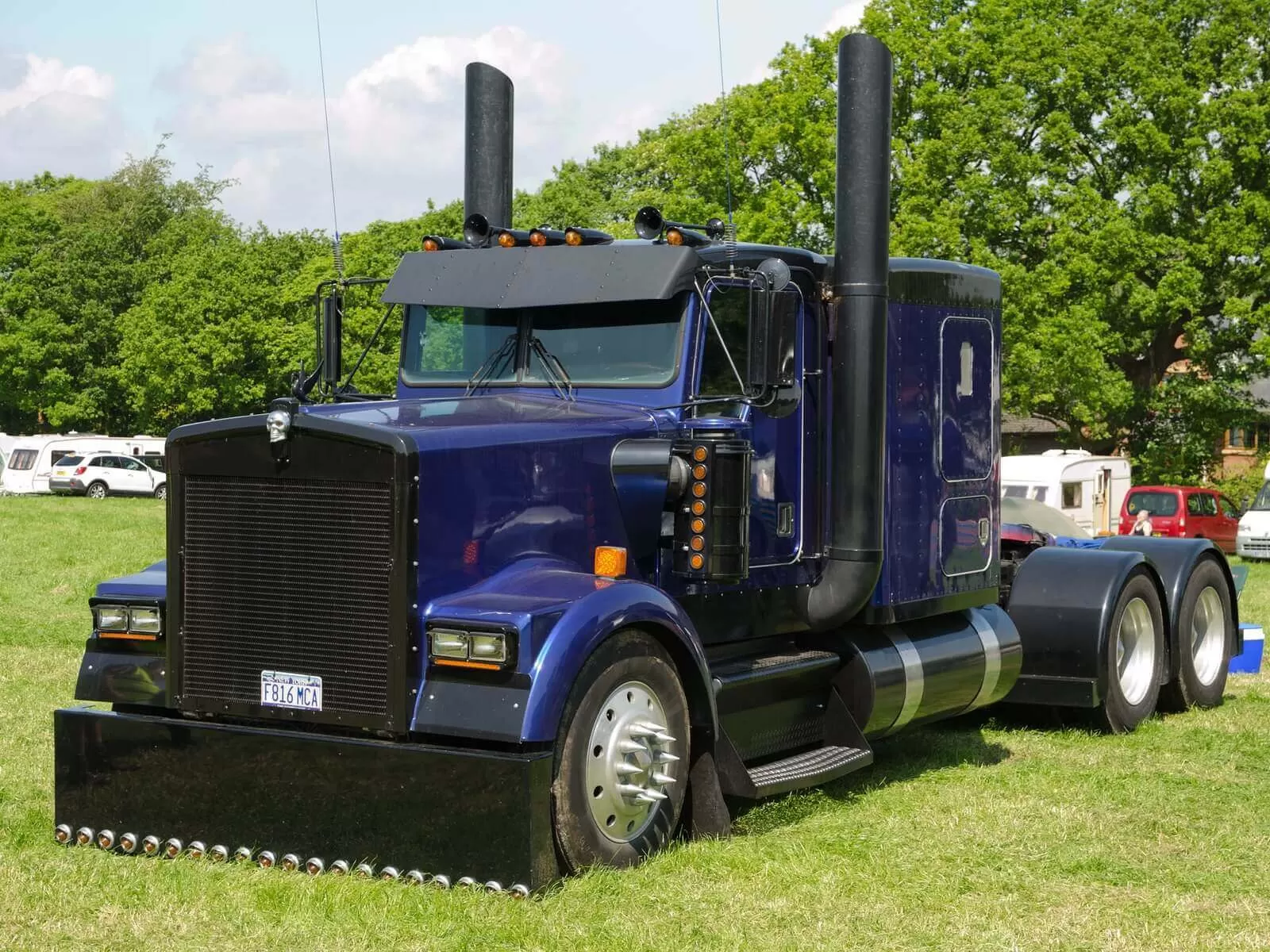 Dark blue truck on the grass