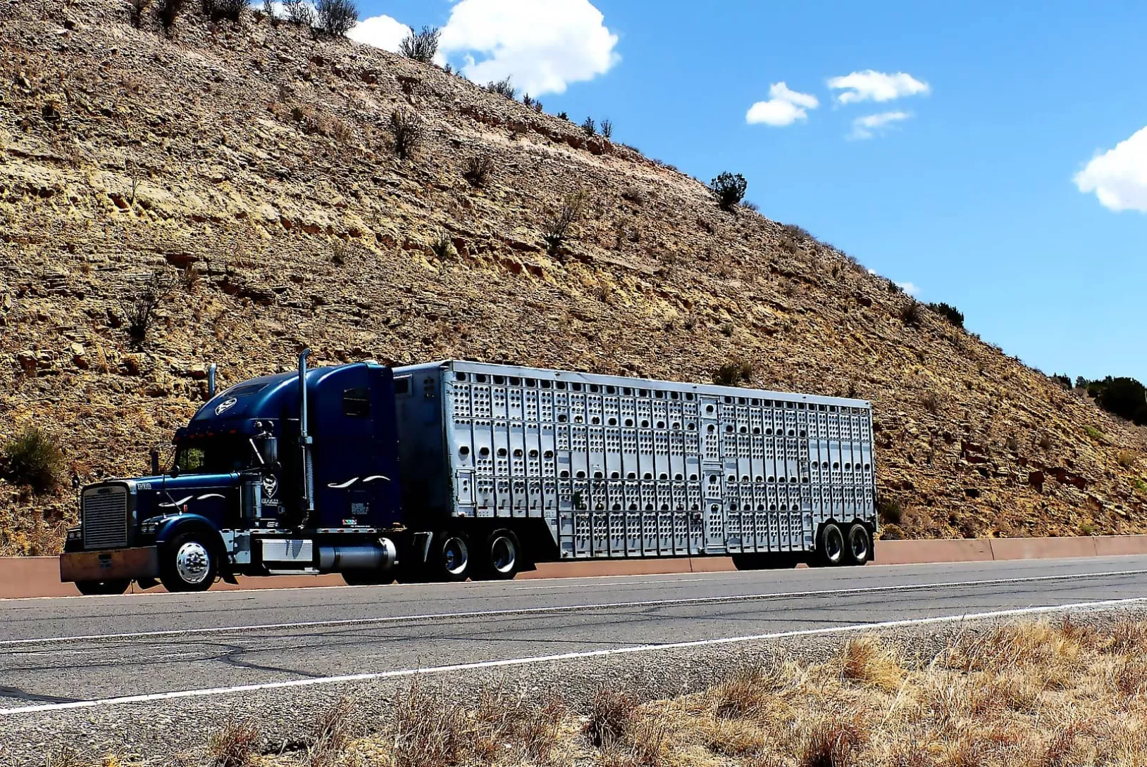 Photo of dark blue truck with trailer