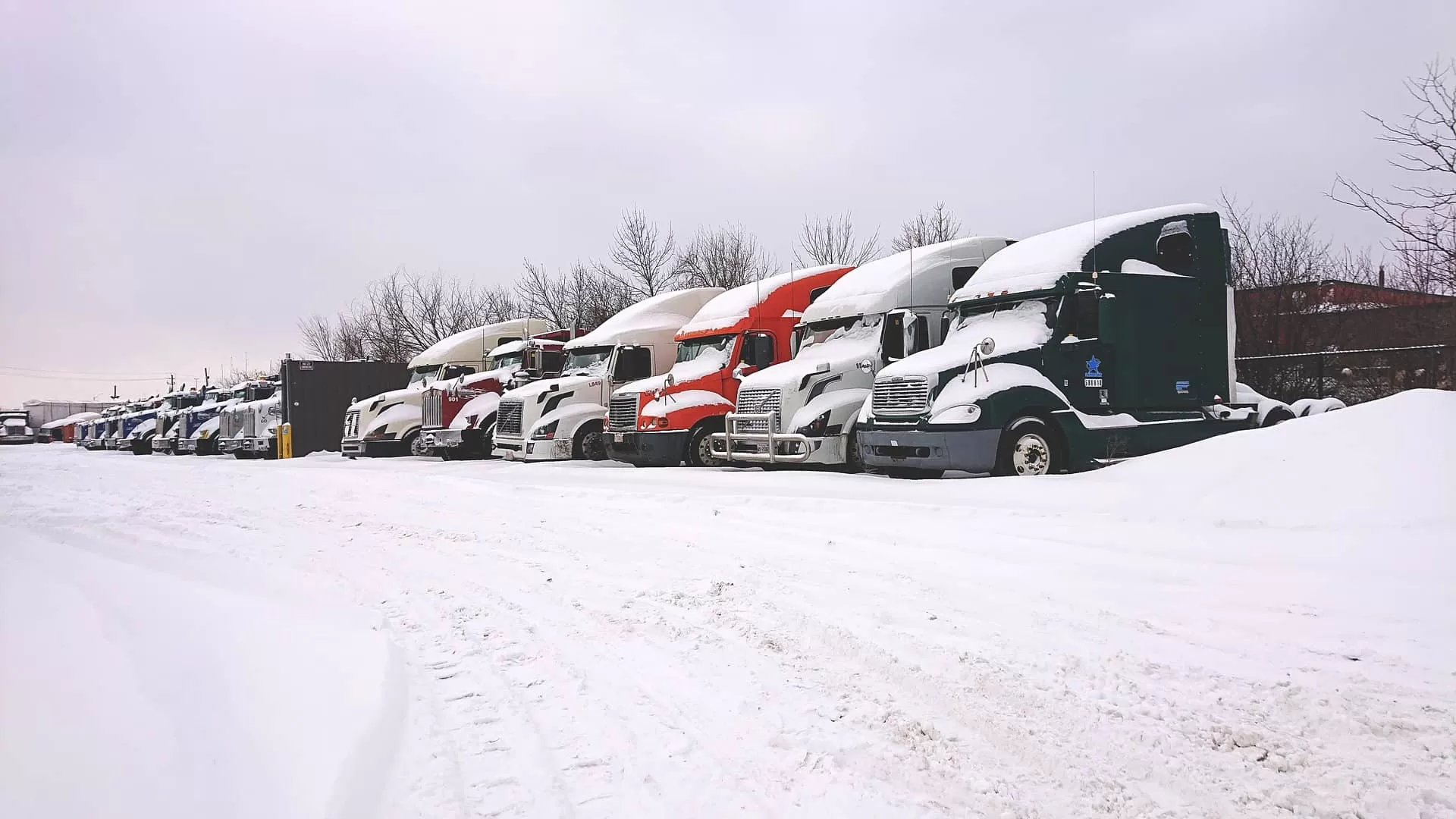 snowed trucks on the parking