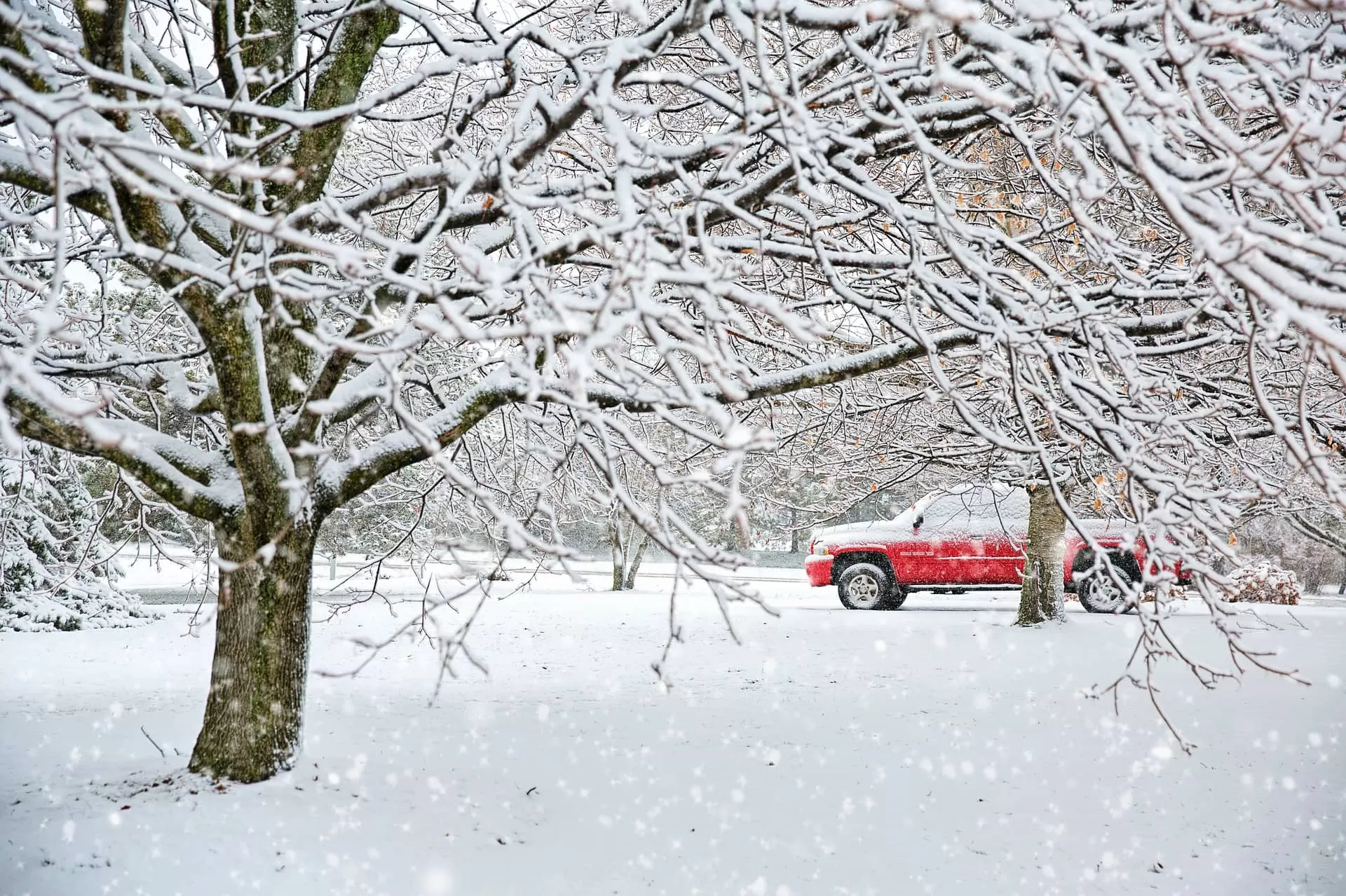 snowy whether and red pickup